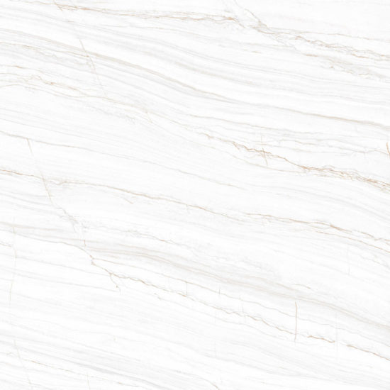 LINE WHITE POLISHED | Porcemall