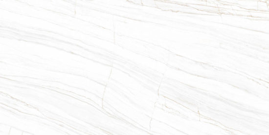 LINE WHITE POLISHED | Porcemall