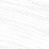 LINE WHITE POLISHED | Porcemall
