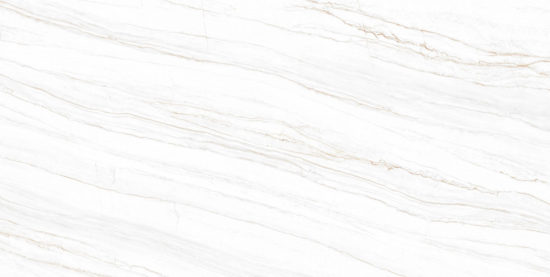 LINE WHITE POLISHED | Porcemall