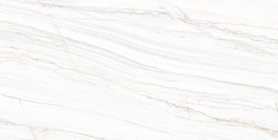 LINE WHITE POLISHED | Porcemall