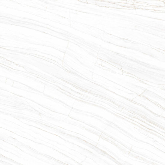 LINE WHITE POLISHED | Porcemall