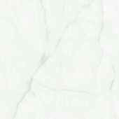 OSCAR GREY POLISHED | Porcemall