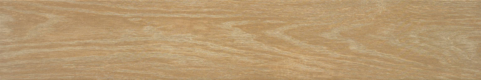 Larix Roble