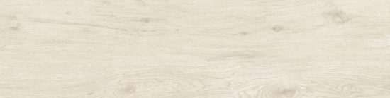 Tree Bone | Porcemall