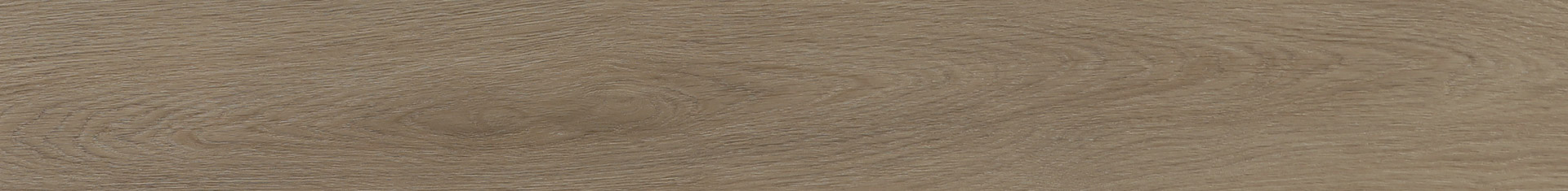 EVERGLADES HONEY 8 MM  20 MIL